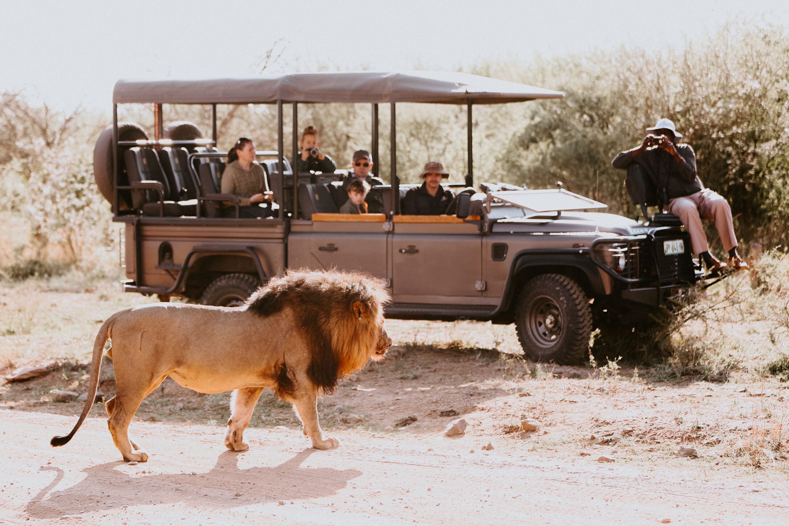 Essential Safari Packing Tips for an Unforgettable Madikwe Safari Lodge Experience