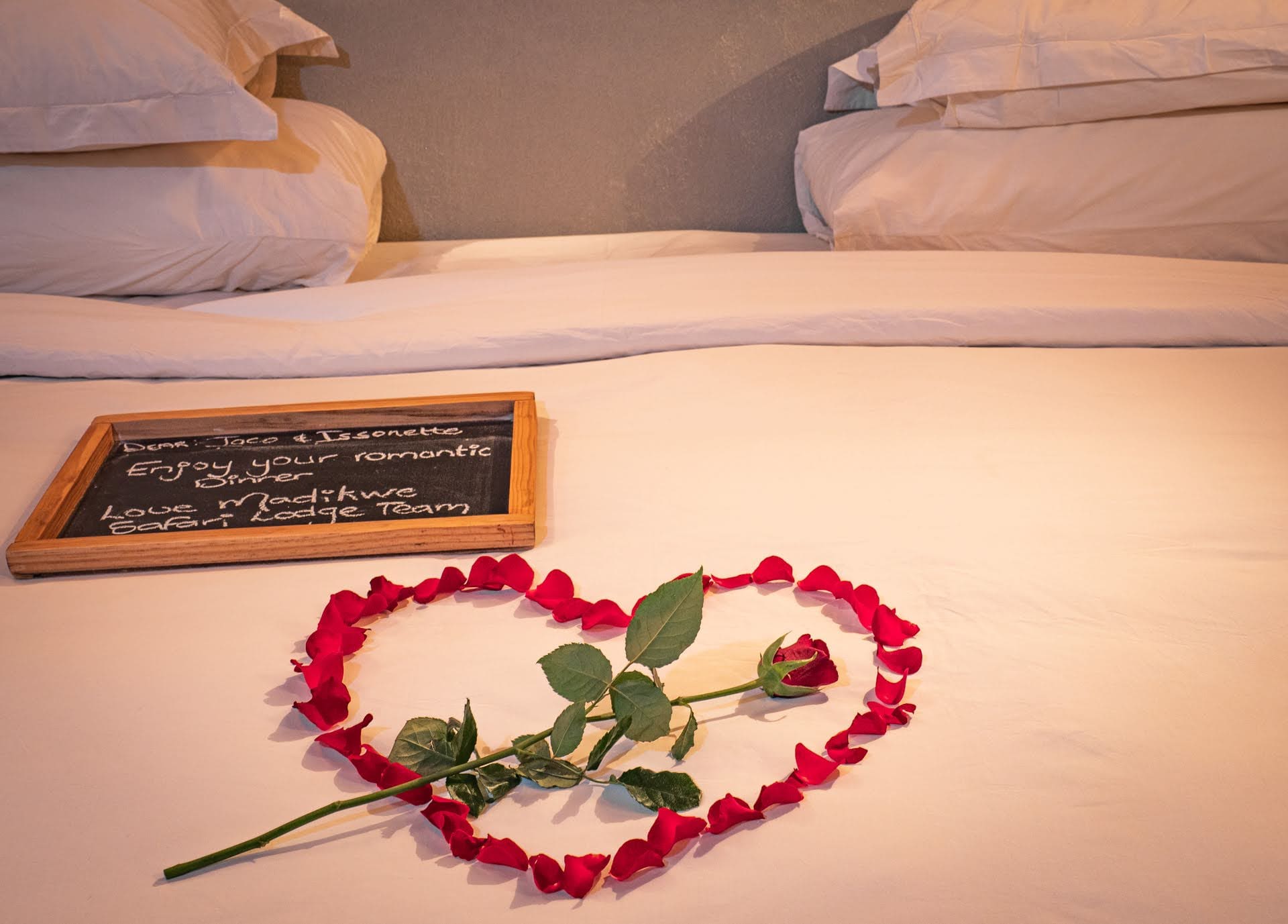 Crafting the Perfect Romantic Retreat at Madikwe Safari Lodge
