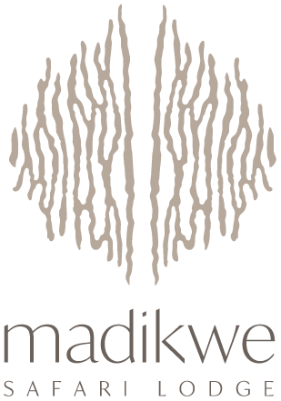 Madikwe Safari Lodge